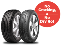 No Dry Rot Guarantee